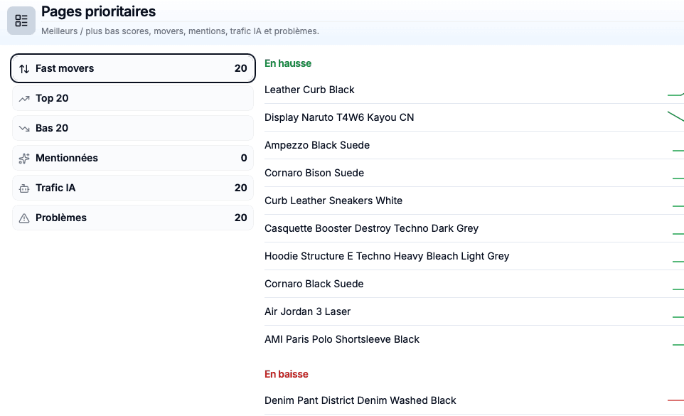 Páginas prioritarias: fast movers, top y bottom 20, menciones, tráfico IA y problemas, catálogo sincronizado desde Shopify